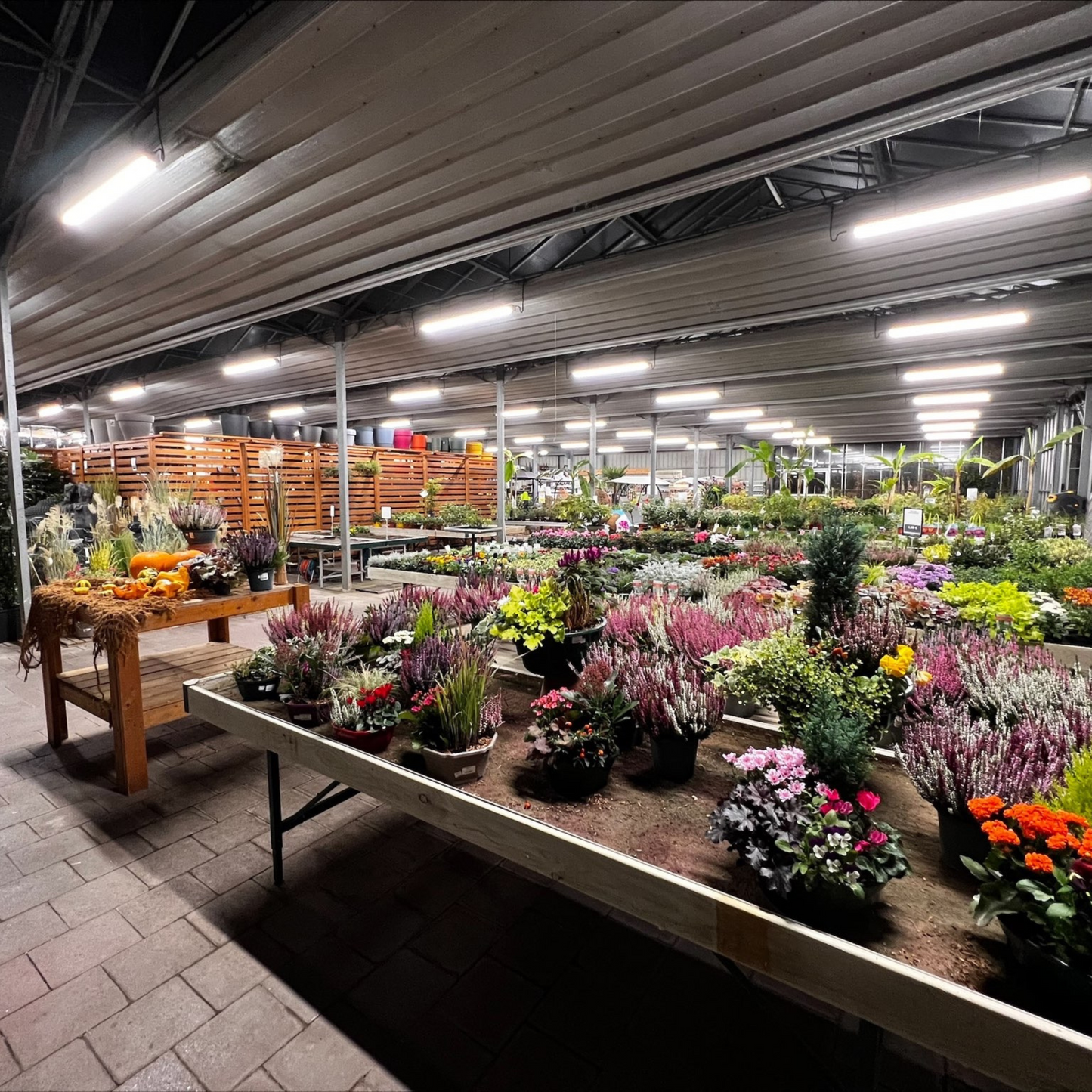 60W LED Triproof Light 5ft (150cm) – IP65, 140lm/W, CCT