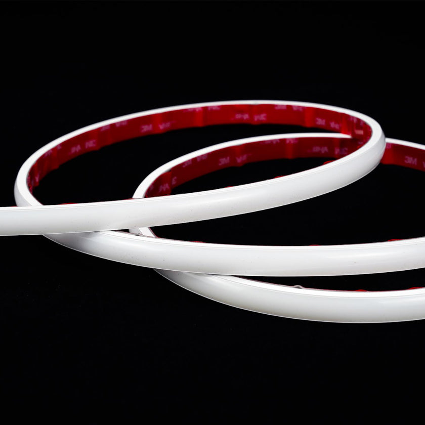 24V RGB Neon Flex LED Strip Light - 14W/m, IP67, 12x5mm, 10m Roll