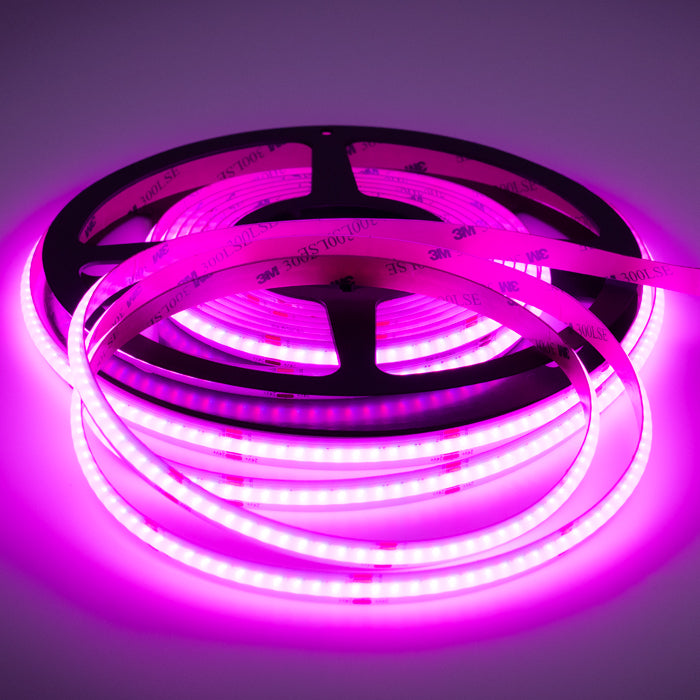 15W/m RGB COB LED Strip Light – 500lm/m, 24V, 5m Reel, 3-Year Warranty