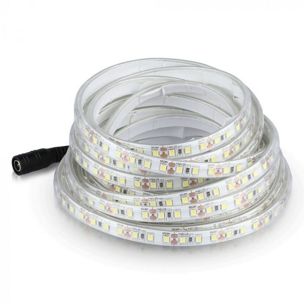 8W/m LED Strip - 5m/roll