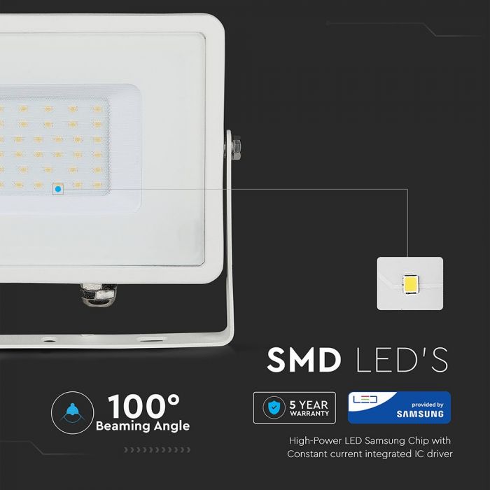 30W Led Floodlight SMD Samsung Chip